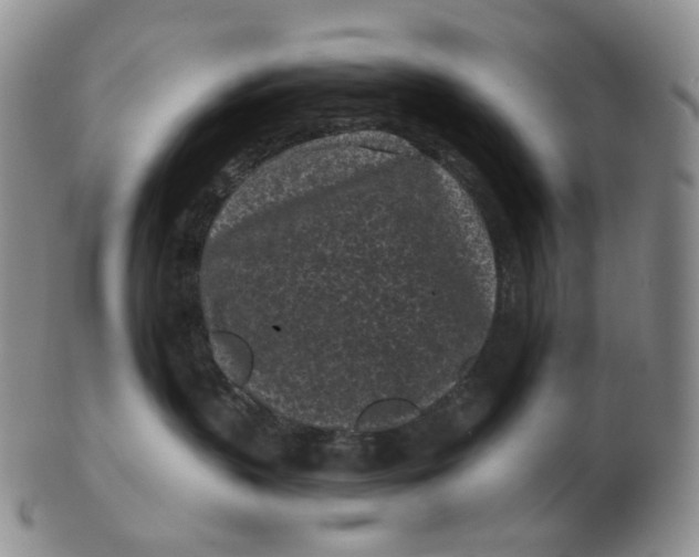 X0000103150383200809121822