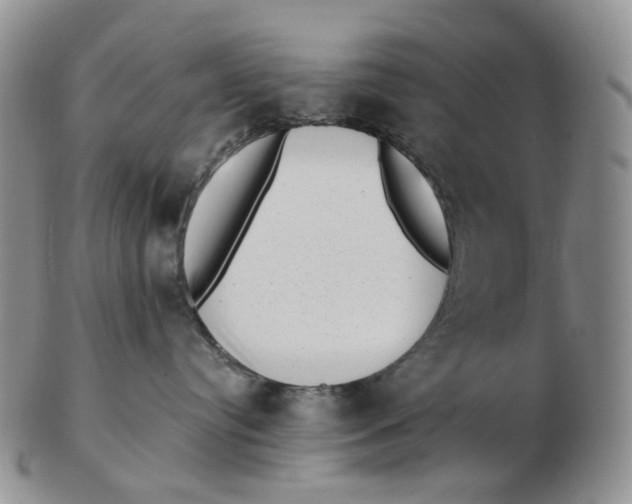 X0000103150384200809121822