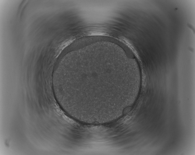 X0000103150385200809121821