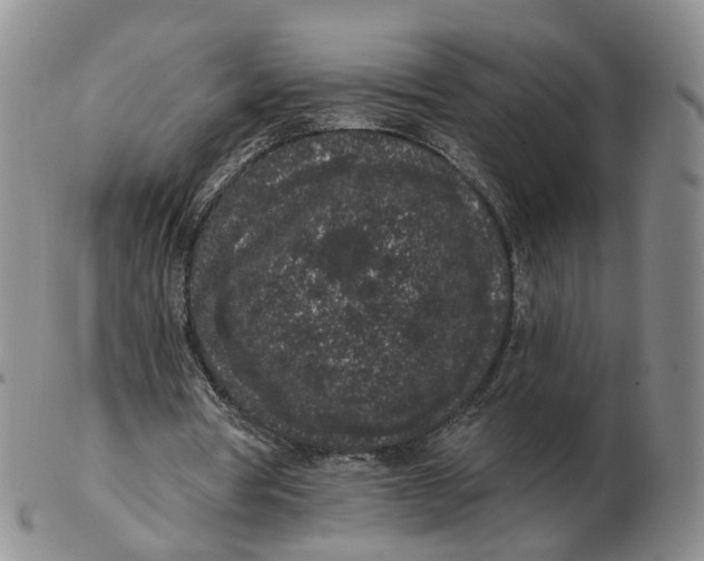 X0000103150386200809121821