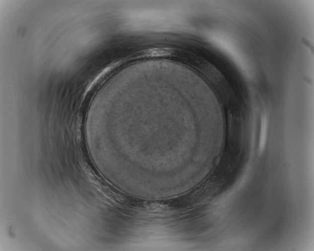 X0000103150387200809121821