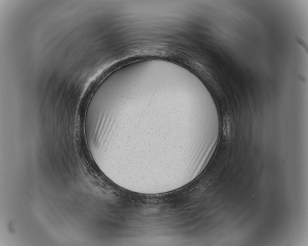 X0000103150388200809121821