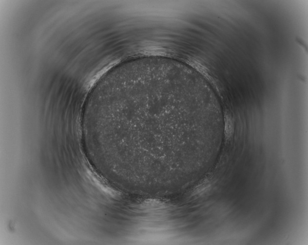 X0000103150390200809121821