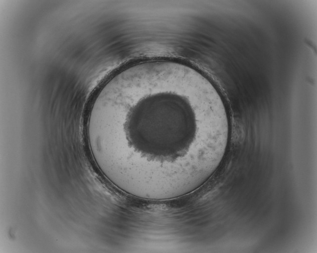 X0000103150391200809121821