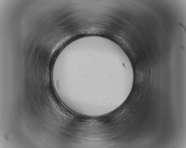 X0000103150392200809121821