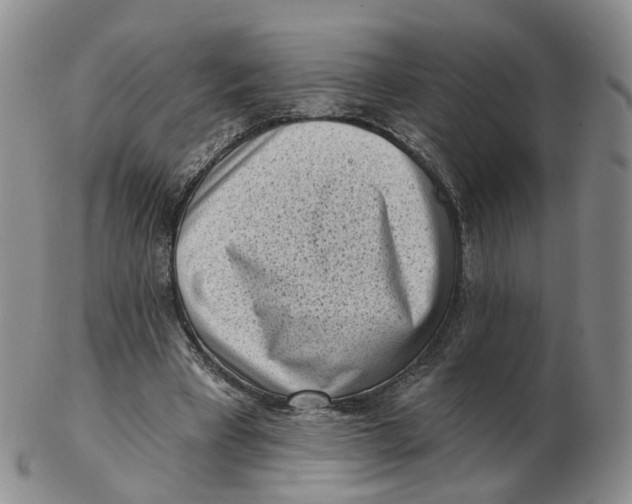 X0000103150393200809121821