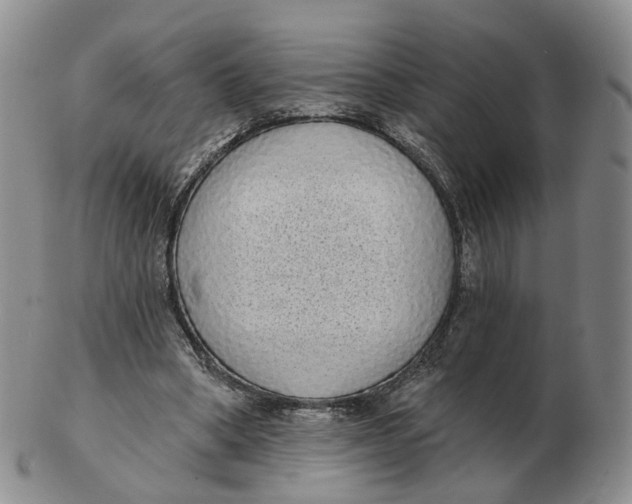 X0000103150394200809121821