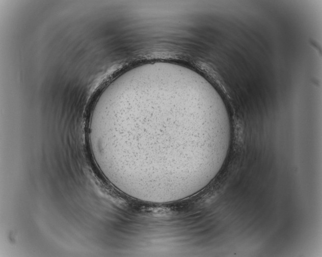 X0000103150395200809121821