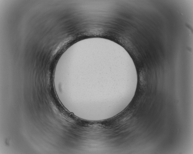 X0000103150396200809121821