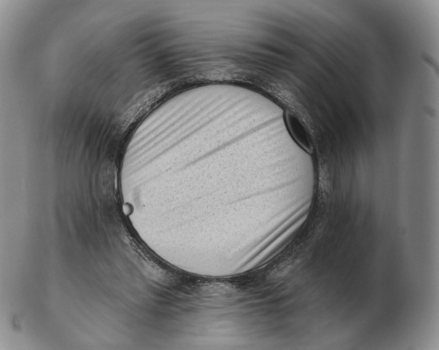 X0000103150397200809121821