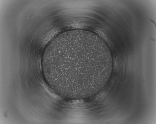 X0000103150398200809121821