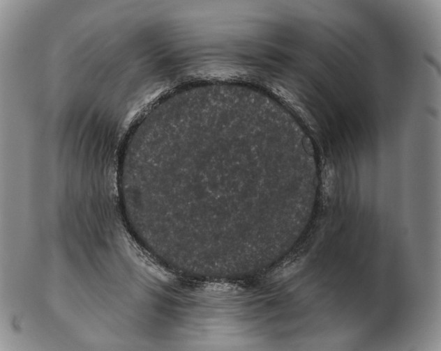 X0000103150399200809121821