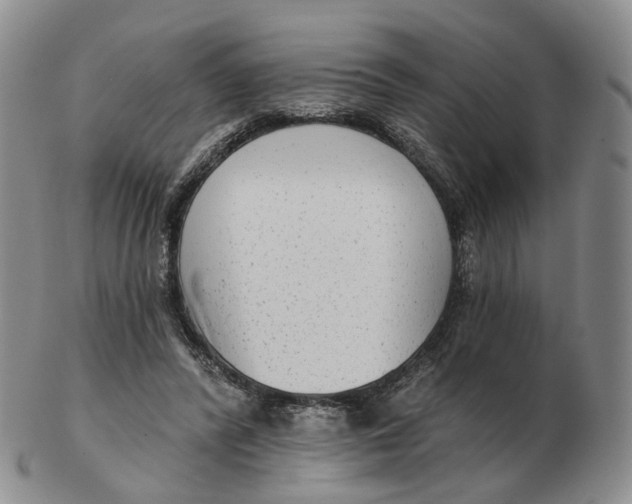 X0000103150400200809121821