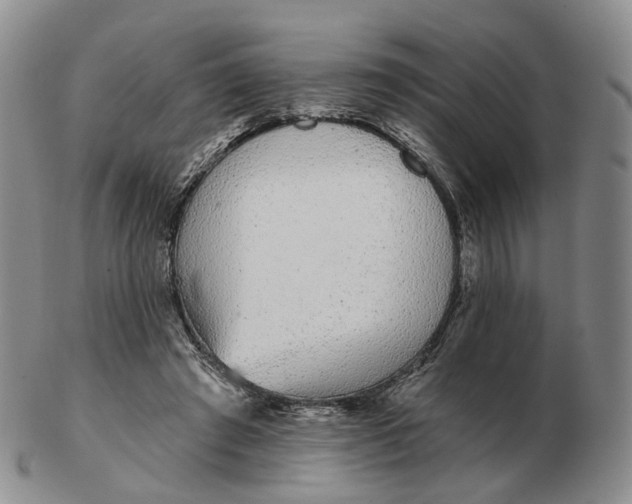 X0000103150401200809121820