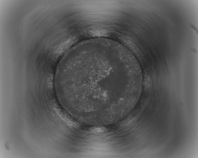 X0000103150402200809121820