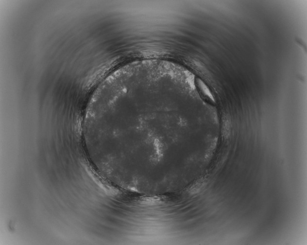 X0000103150405200809121820