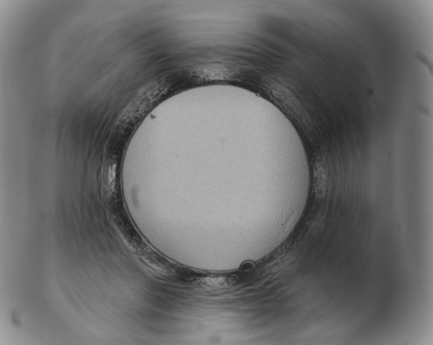 X0000103150406200809121820