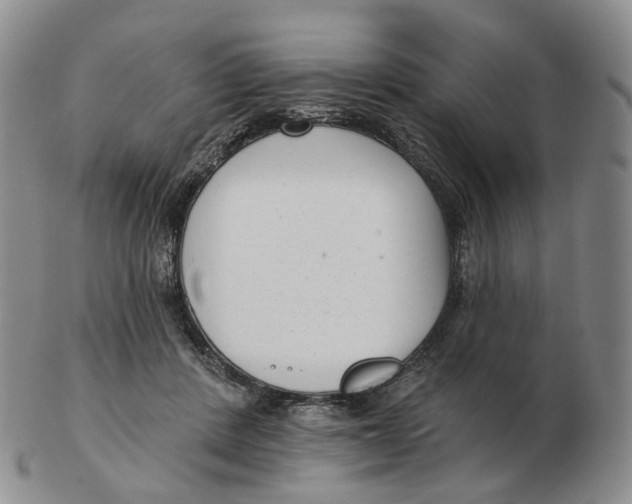 X0000103150408200809121820