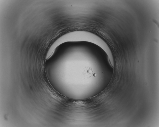 X0000103150409200809121820