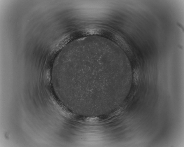 X0000103150410200809121820