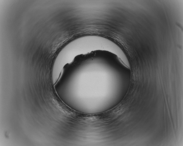 X0000103150411200809121820