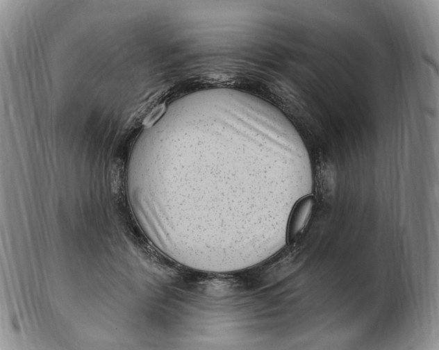 X0000103150412200809121820