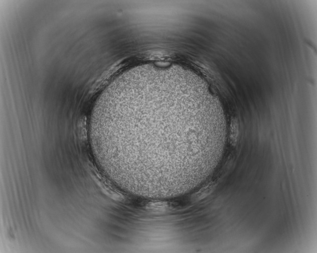 X0000103150413200809121820