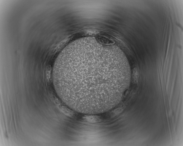 X0000103150417200809121820