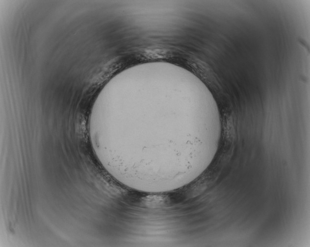 X0000103150418200809121820