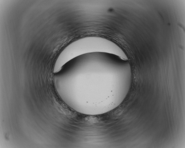 X0000103150419200809121820