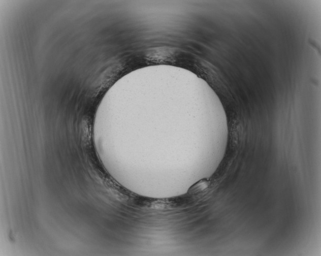 X0000103150420200809121820