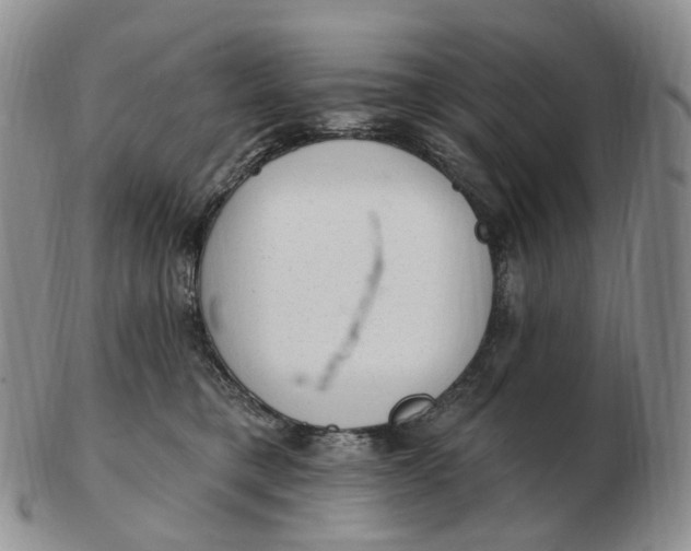 X0000103150421200809121820