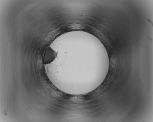 X0000103150422200809121820