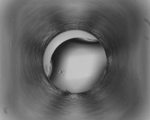 X0000103150423200809121820