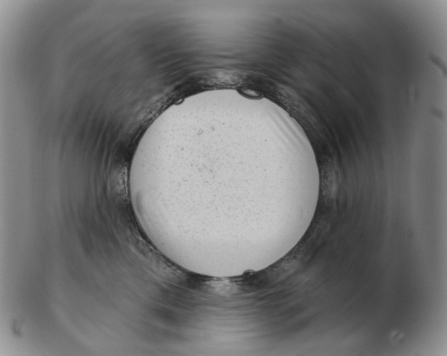 X0000103150425200809121820