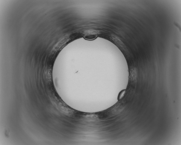 X0000103150426200809121820