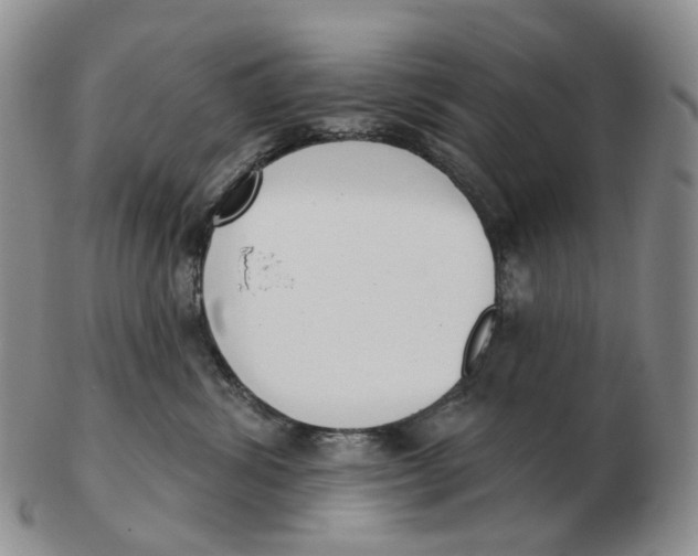 X0000103150428200809121820