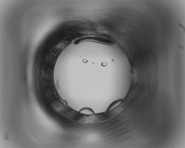 X0000103150430200809121820