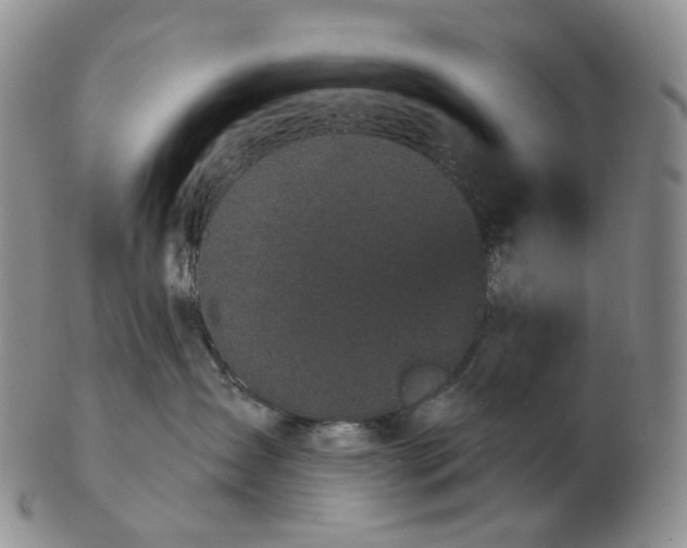 X0000103150431200809121820