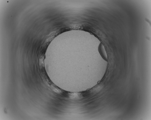 X0000103150432200809121820