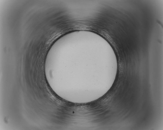 X0000103150433200809121819