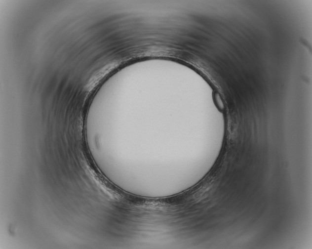 X0000103150437200809121819