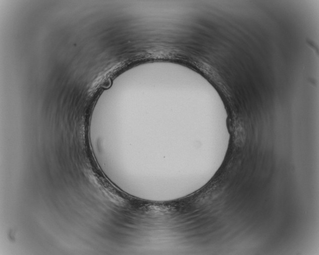 X0000103150442200809121820