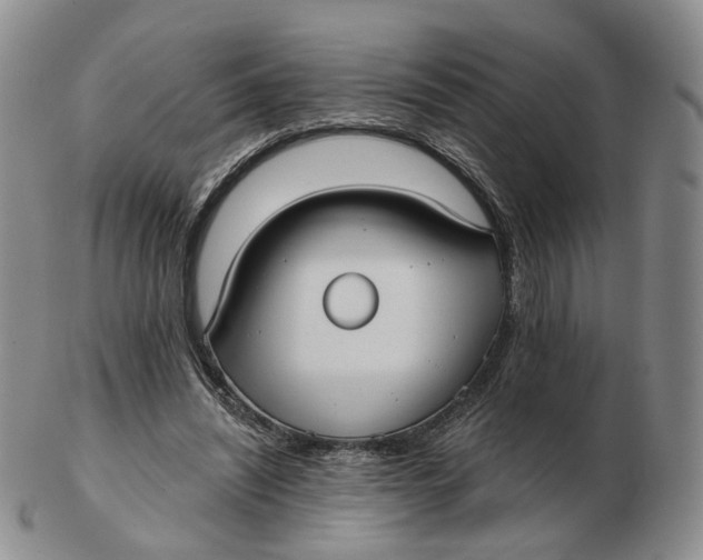 X0000103150444200809121820