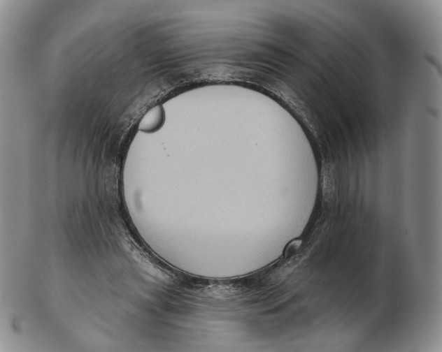 X0000103150445200809121820