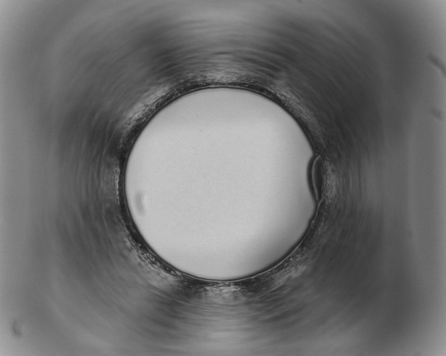 X0000103150446200809121820