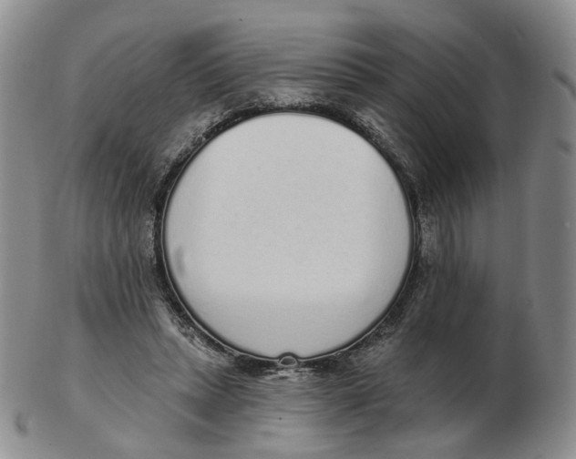 X0000103150447200809121820