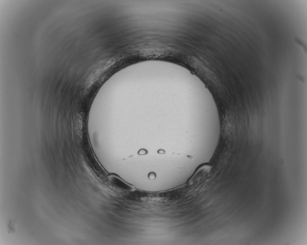 X0000103150448200809121820