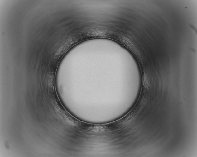 X0000103150449200809121820