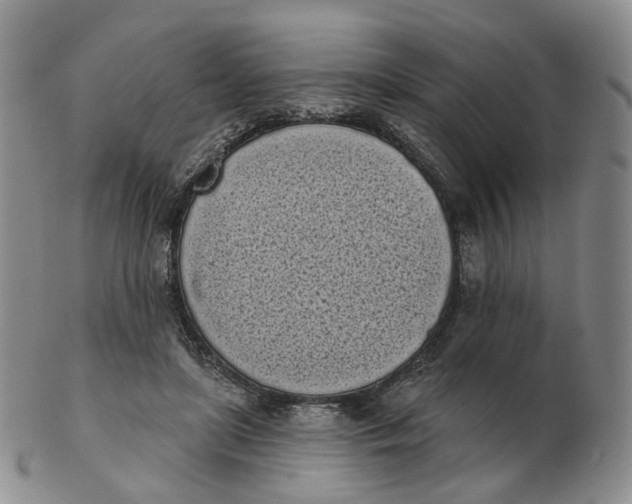 X0000103150451200809121820